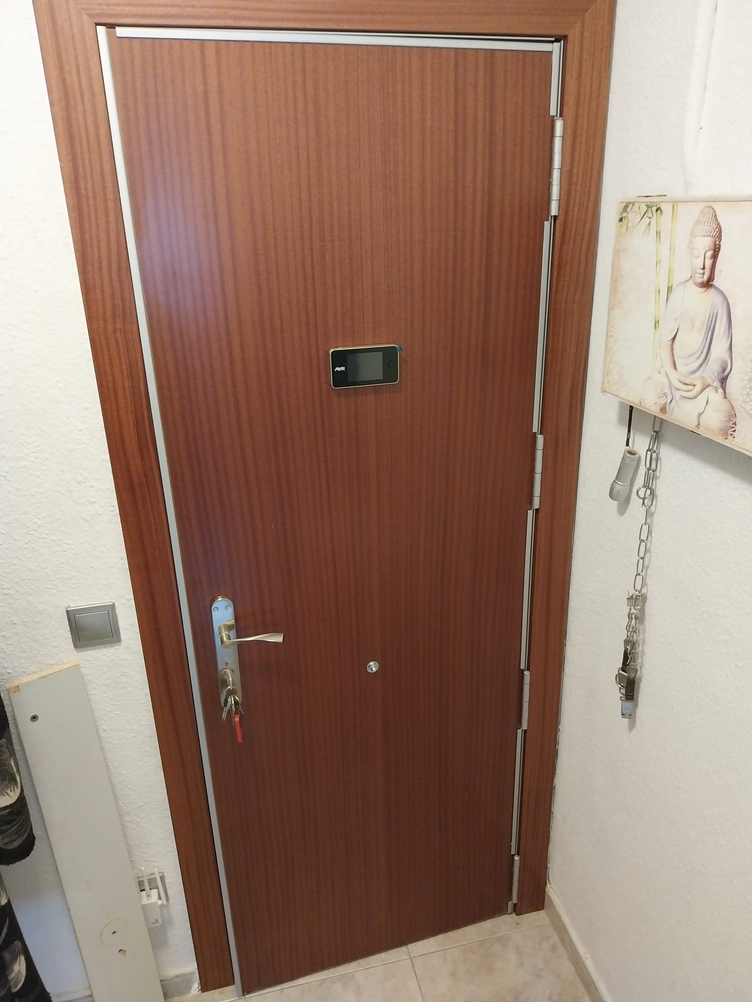 Puerta de entrada en sapelly con mirilla digital